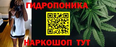 jwh Новозыбков