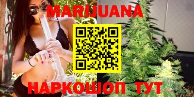 jwh Новозыбков