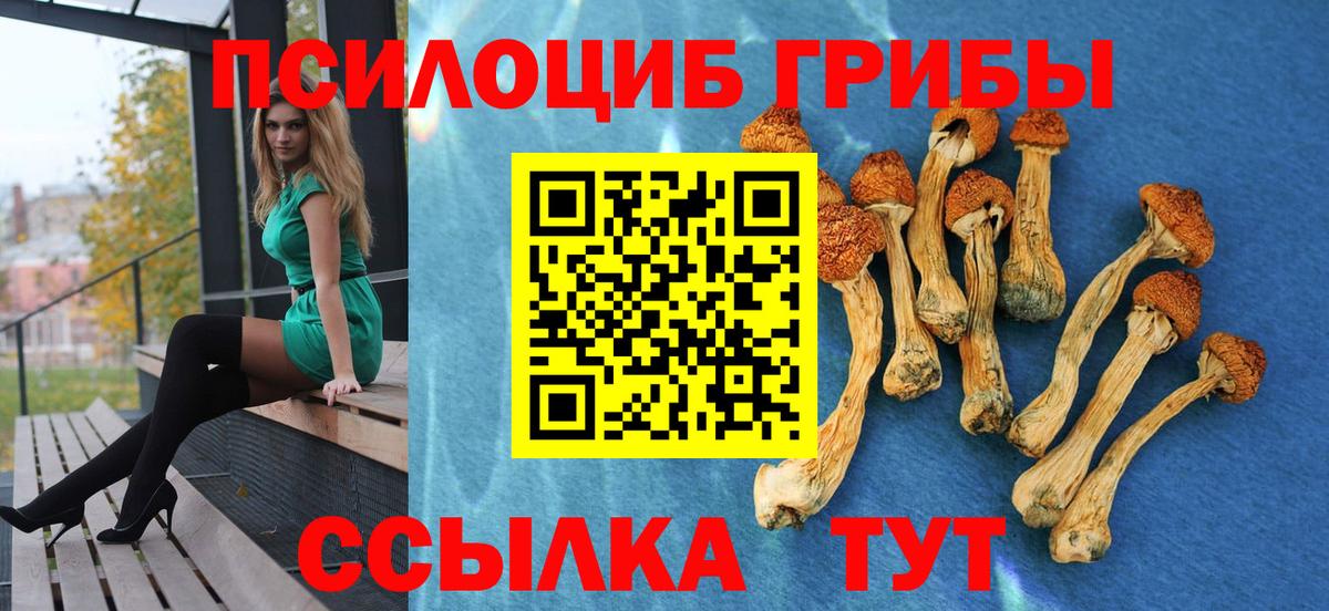 Псилоцибиновые грибы прущие грибы Буйнакск