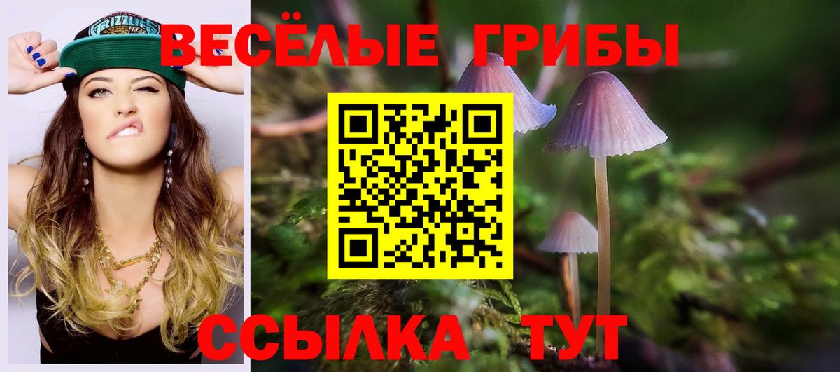 где продают наркотики  Вход с VPN  Буйнакск  Псилоцибиновые грибы мухоморы 